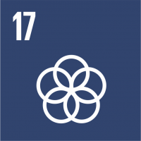 obiettivo 17 agenda 2030