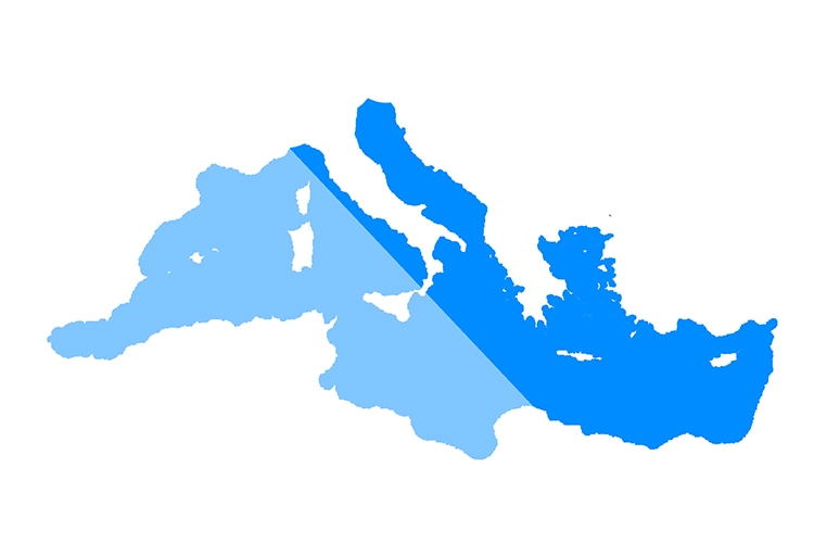 Dettaglio della locandina Dettaglio della locandina