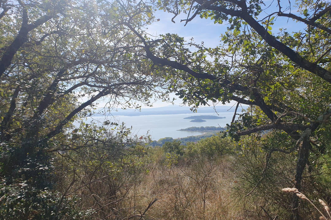 scorcio del lago visto dal sentiero
